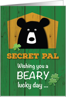 Secret Pal Bear on St Patricks Day card