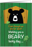 Far Away Bear and Shamrocks on St Patricks Day Holiday card