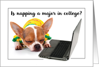 Back to School College Funny Napping Dog on Laptop Computer card