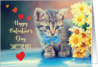 Sweetheart Love Valentine Kitten with Yellow Daisies card