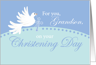 Grandson Christening Dove on Blue card