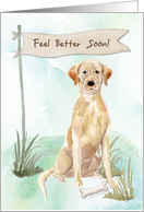 Yellow Lab Feel Better After Surgery card