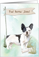 Black and White French Bulldog Feel Better After Surgery to Dog card