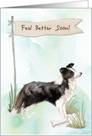 Border Collie Feel Better After Surgery to Dog card