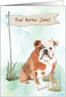 English Bulldog Feel Better After Surgery to Dog card