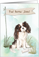 Tri Colour King Charles Spaniel Feel Better After Surgery to Dog card