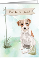 Wire Haired Jack Russell Feel Better After Surgery to Dog card