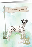 Dalmatian Feel Better After Surgery with Dog card