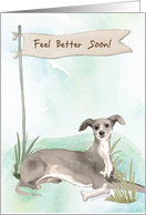 Italian Greyhound Feel Better After Surgery with Dog card