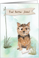 Norfolk Terrier Feel Better After Surgery with Dog card