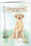 Yellow Lab Congratulations on New Dog card