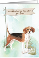 Beagle Congratulations on New Dog card