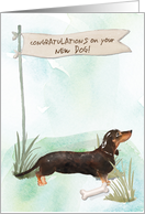 Black and Tan Dachshund Congratulations on New Dog card