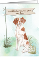 Brittany Congratulations on New Dog card