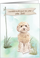 Champagne Cockapoo Congratulations on New Dog card