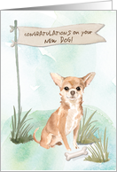 Chihuahua Congratulations on New Dog card