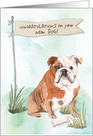 English Bulldog Congratulations on New Dog card