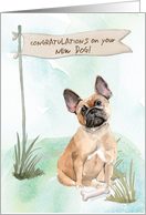 French Bulldog Congratulations on New Dog card