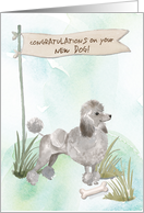 Grey Poodle Congratulations on New Dog card