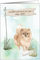 Pommeranian Congratulations on New Dog card