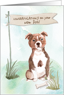 Staffordshire Bull Terrier Congratulations on New Dog card