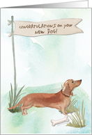 Tan Dachshund Congratulations on New Dog card