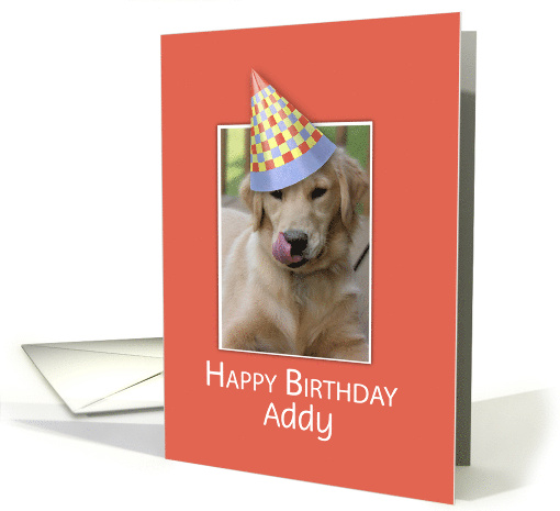 Custom Name Birthday to Dog Humor Funny Hat on Orange card (1580122)