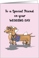 Special Friend on Wedding Day Dogs Congratulations card