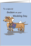 Congratulations to Godson on Wedding Day Dogs card