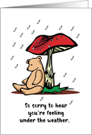 Get Well Bear Under Mushroom in the Rain card