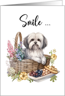 Havanese Breed Cute Dog in Flower Basket Hello card