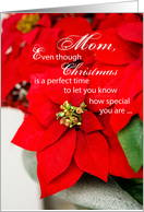 Mom Poinsettia Seasons Greetings Christmas card