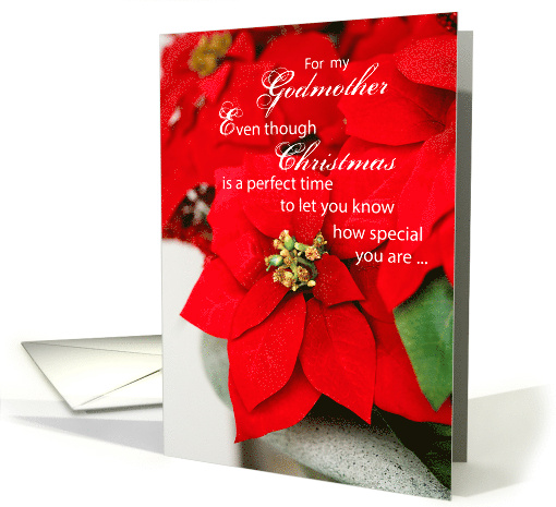 Godmother Poinsettia Seasons Greetings Christmas card (259251)