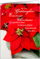 Goddaughter Christmas Poinsettia card
