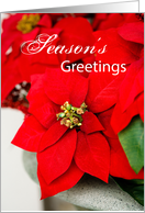 Seasons Greetings Red Poinsettia Business Appreciation card