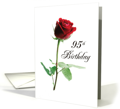 95th Birthday Red Rose Flower card (265273)