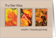 Niece Religious Three Leaves Thanksgiving Holiday Fall card