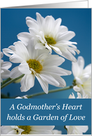 Godmother on Mothers Day with White Daisies on Blue Sky card