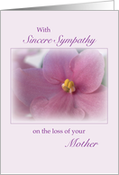 Loss of Mother Flower Sympathy Soft Pink Violet card