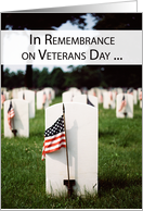 Veterans Day In Remembrance Patriotic Flags in Cemetery card