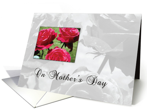 Pink Roses for Mom on Mothers Day card (560379)