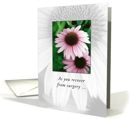 Surgery Recovery Get Well with Pink Daisies Flowers card (560391)