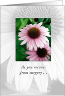 Surgery Recovery Get Well with Pink Daisies Flowers card