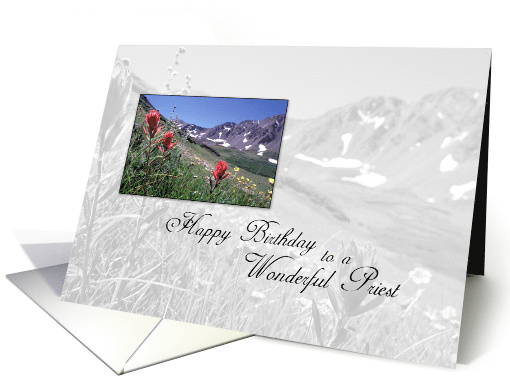 Moutains Priest Birthday Priest card (560430)