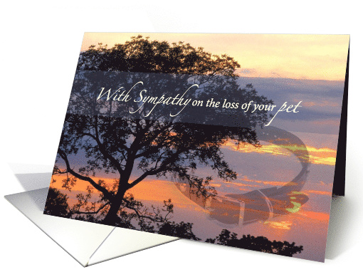 Pet Sympathy Loss of Pet with Collar Under Tree card (578920)