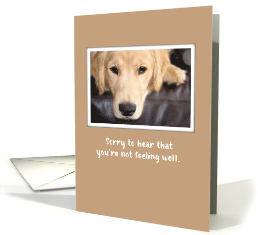 Get Well with Golden Retriever Dog Feeling Down card (592291)
