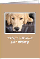 Surgery Recovery Sad Dog card