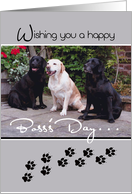 Boss’s Day From All of Us with Labrador Dogs card