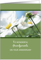 Grandparents Wedding Anniversary With White Flowers on Green card