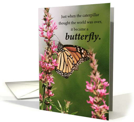 Cancer Patient Get Well Butterfly and Wildflowers Support card
